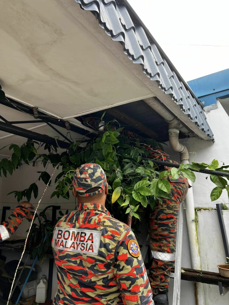 Terpaksa Diselamatkan Bomba, Oyen Terperangkap Dalam Siling Jiran Cuit Hati Netizen