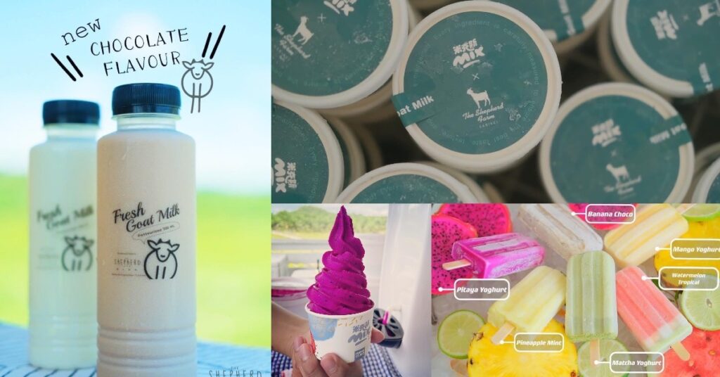 Tarikan Baru The Shepherd Farm Sarikei Ini Macam Ala-Ala Desa Dairy Farm Di Sabah