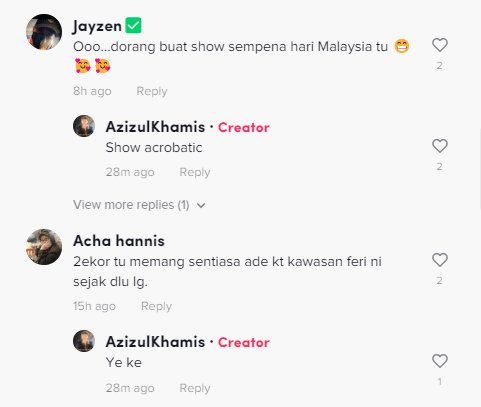 Tular 2 Buaya 'Bergurau' Di Feri Sungai Batang Igan Sempat Dirakam Netizen