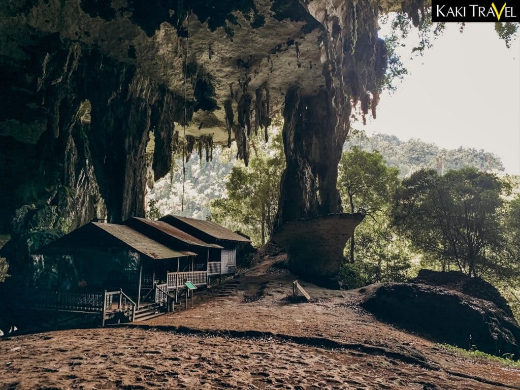 Taman Negara Niah Disasar Jadi Tapak Warisan Dunia UNESCO Menjelang 2024