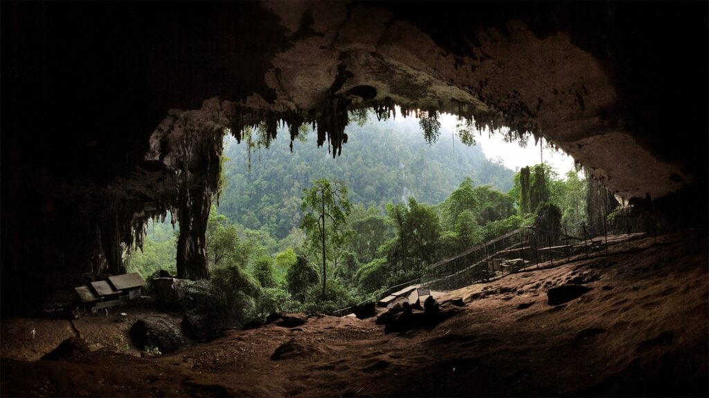 Taman Negara Niah Disasar Jadi Tapak Warisan Dunia UNESCO Menjelang 2024