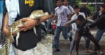 Sekumpulan Pelajar Di Indonesia Bergaduh, Salah Seorang Bawa Anak Buaya Sebagai 'Senjata'