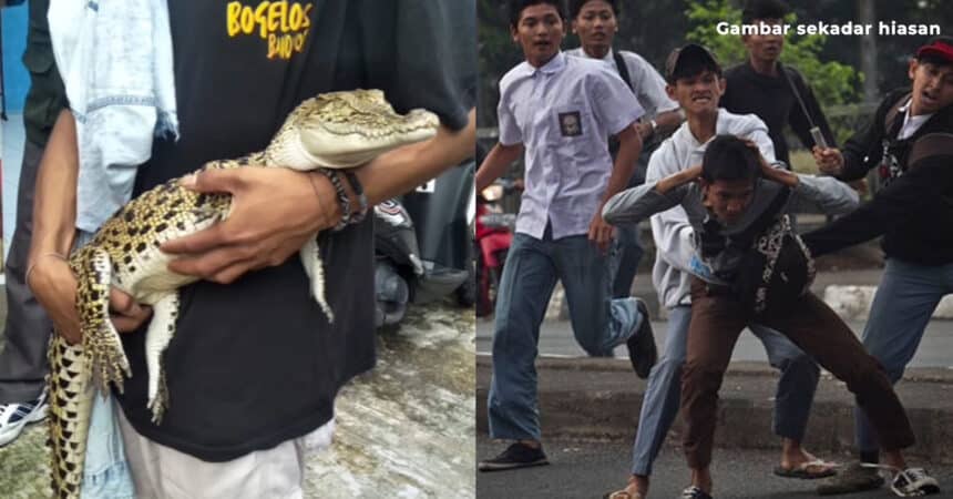 Sekumpulan Pelajar Di Indonesia Bergaduh, Salah Seorang Bawa Anak Buaya Sebagai 'Senjata'