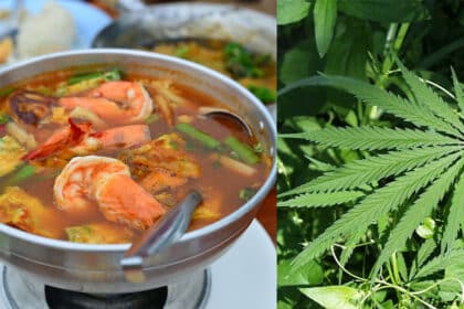 Disangka Sayur Kangkung, Keluarga Ini Termakan Ganja Semasa Bercuti Di Thailand