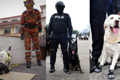 Unit 'Kegemaran' Netizen Malaysia, Ini 4 Fakta Menarik Tentang Unit K9 Di Malaysia