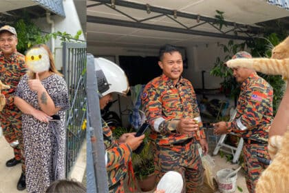 Terpaksa Diselamatkan Bomba, Oyen Terperangkap Dalam Siling Jiran Cuit Hati Netizen