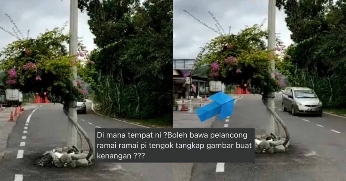 'Hanya Di Boleh Land' Tiang Lampu Tengah Jalan Cuit Hati Netizen
