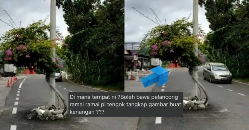 'Hanya Di Boleh Land' Tiang Lampu Tengah Jalan Cuit Hati Netizen