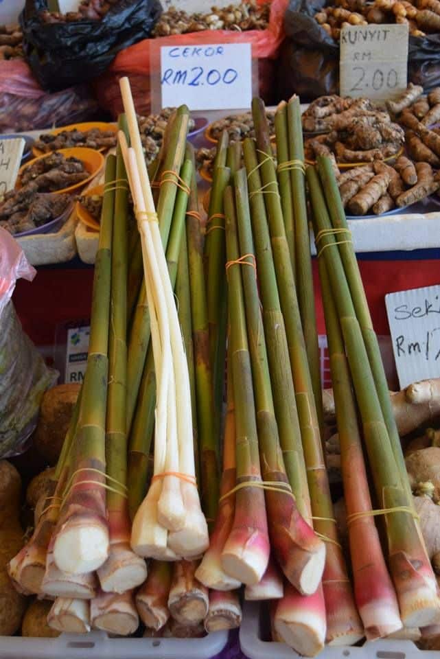 Penuh Aroma Dan Rasa Unik, Pucuk Tepus Di Sarawak Jadi 'Flavor Enhancer' Dalam Sajian