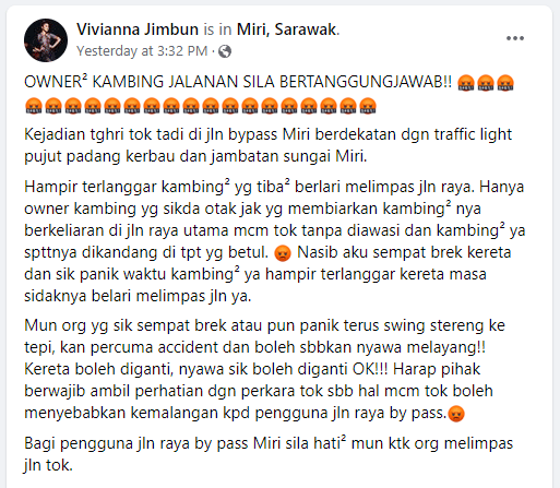 Hampir Kemalangan, Kambing Berkeliaran Di Jalan Bypass Miri Ini Sempat Dirakam Netizen