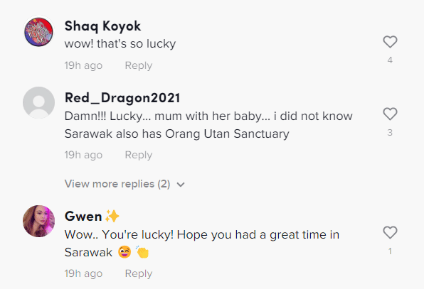 Tak Sangka Dapat Lihat Orang Utan Tepi Jalan Di Sarawak, Mat Salleh Merasa Bertuah