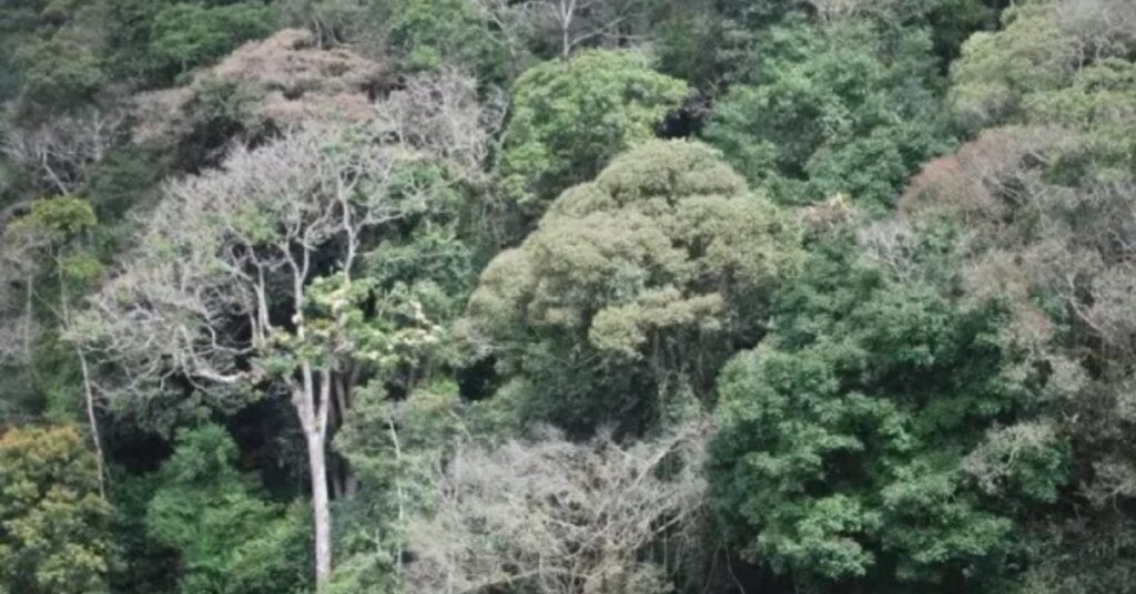 Ketahui 7 Fakta Menarik Tentang Sarawak Hingga Diiktiraf Di Mata Dunia