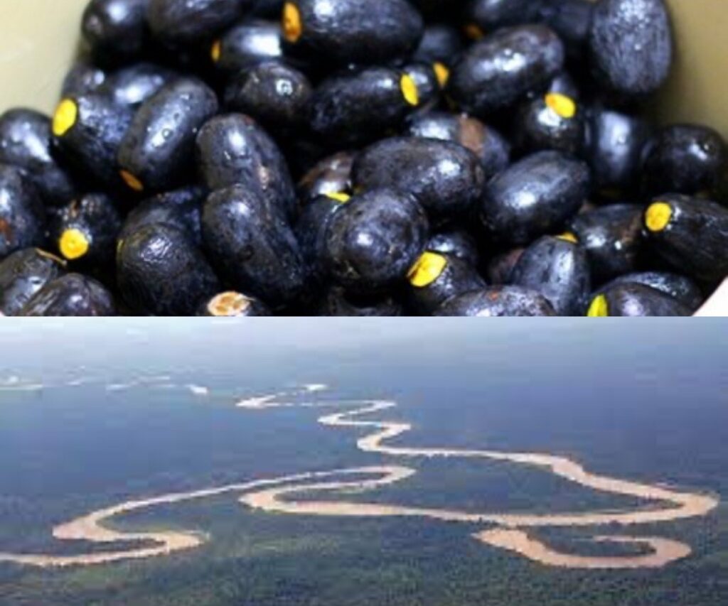 Ketahui 7 Fakta Menarik Tentang Sarawak Hingga Diiktiraf Di Mata Dunia