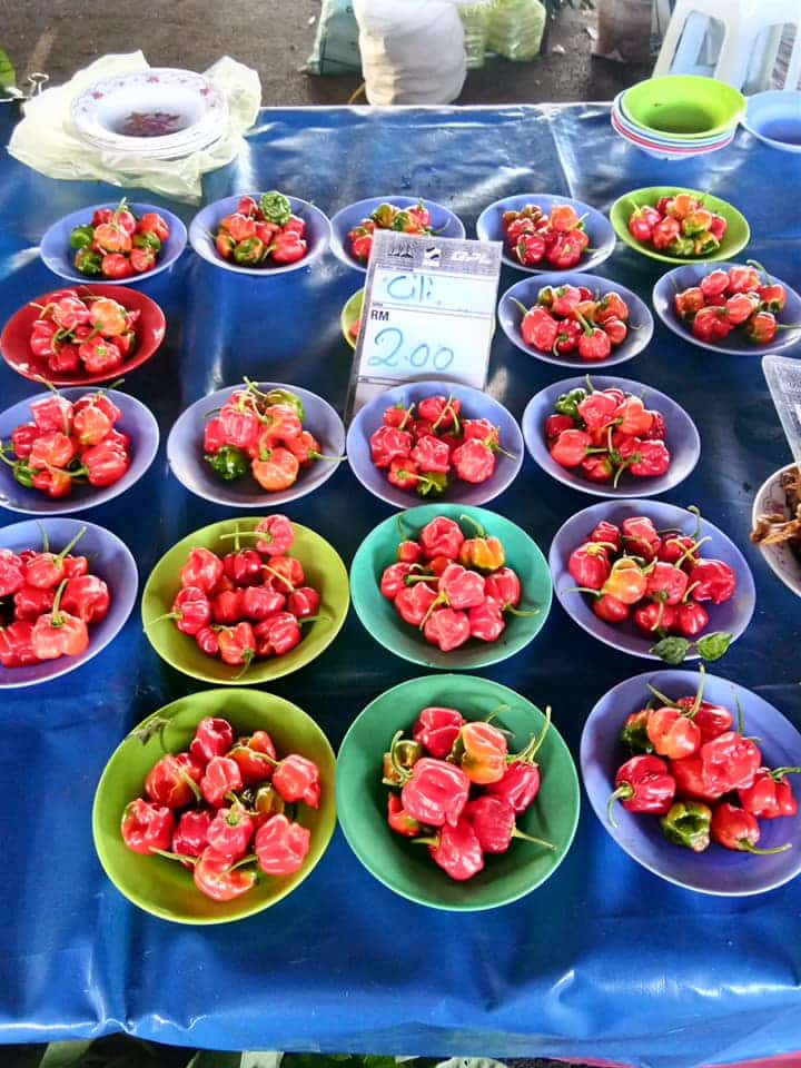 Seakan-akan 'Carolina Reaper', Kenali Cabik Geronong Antara Cili Terpedas Di Sarawak.