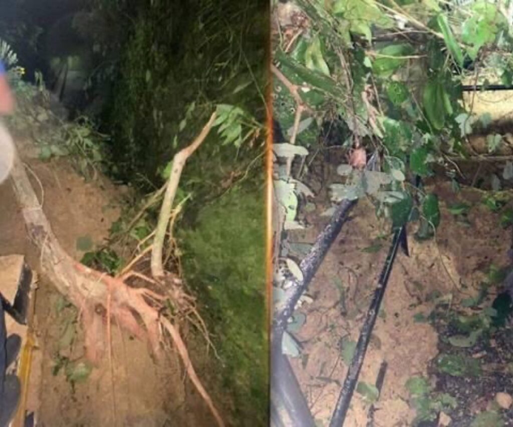 Penumpang Kongsi Pengalaman Di TikTok, Kandas Dalam Keretapi Di Sabah Akibat Tanah Runtuh