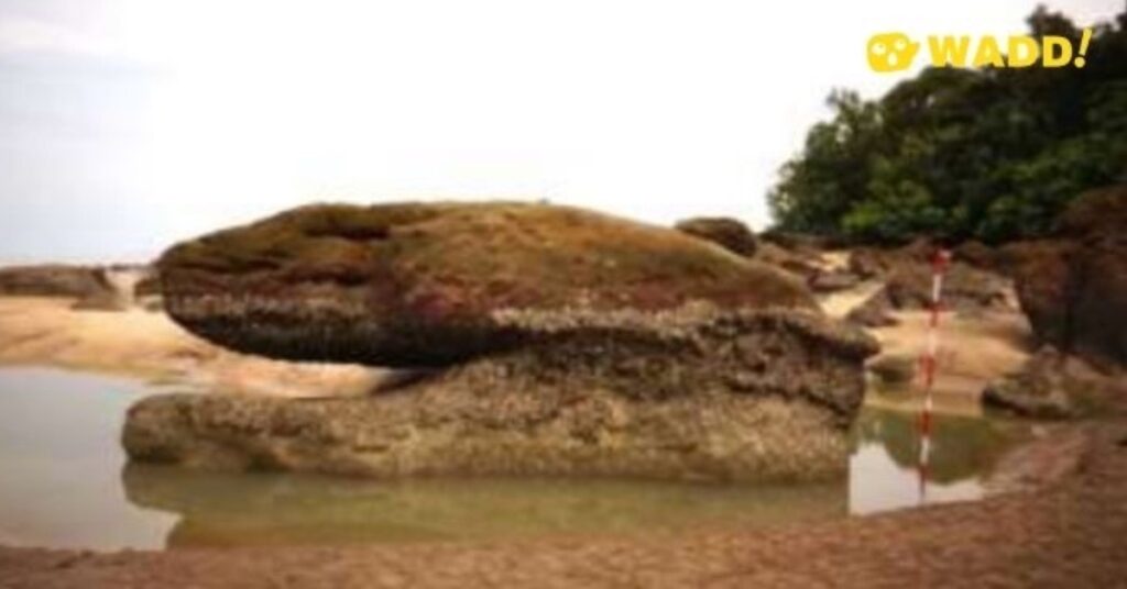 Dalami Kisah Lagenda Disebalik Batu Buaya Di Pantai Santubong