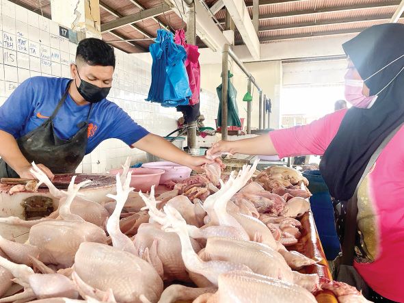 Kerajaan Teruskan Pemberian Subsidi Ayam, Telur Hingga Disember Ini