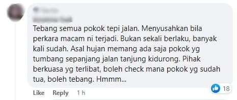 Kereta Dihempap Pokok Di Jalan Kidurong Akibat Hujan Lebat