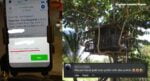 Hantar Makanan Ke Rumah Atas Pokok, Rider Terima Pesanan Di Sibu Ini Buat Netizen Geli Hati