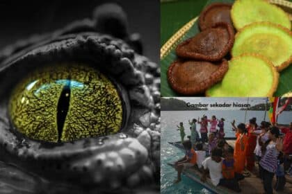 Kepercayaan Kaum Bajau Laut, Penyaram Disajikan Untuk Menyeru Semangat Buaya Putih
