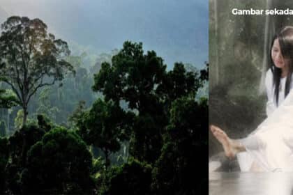 Dikenali Sebagai 'Orang Tersembunyi', Ketahui Lebih Lanjut Tentang Orang Bunian