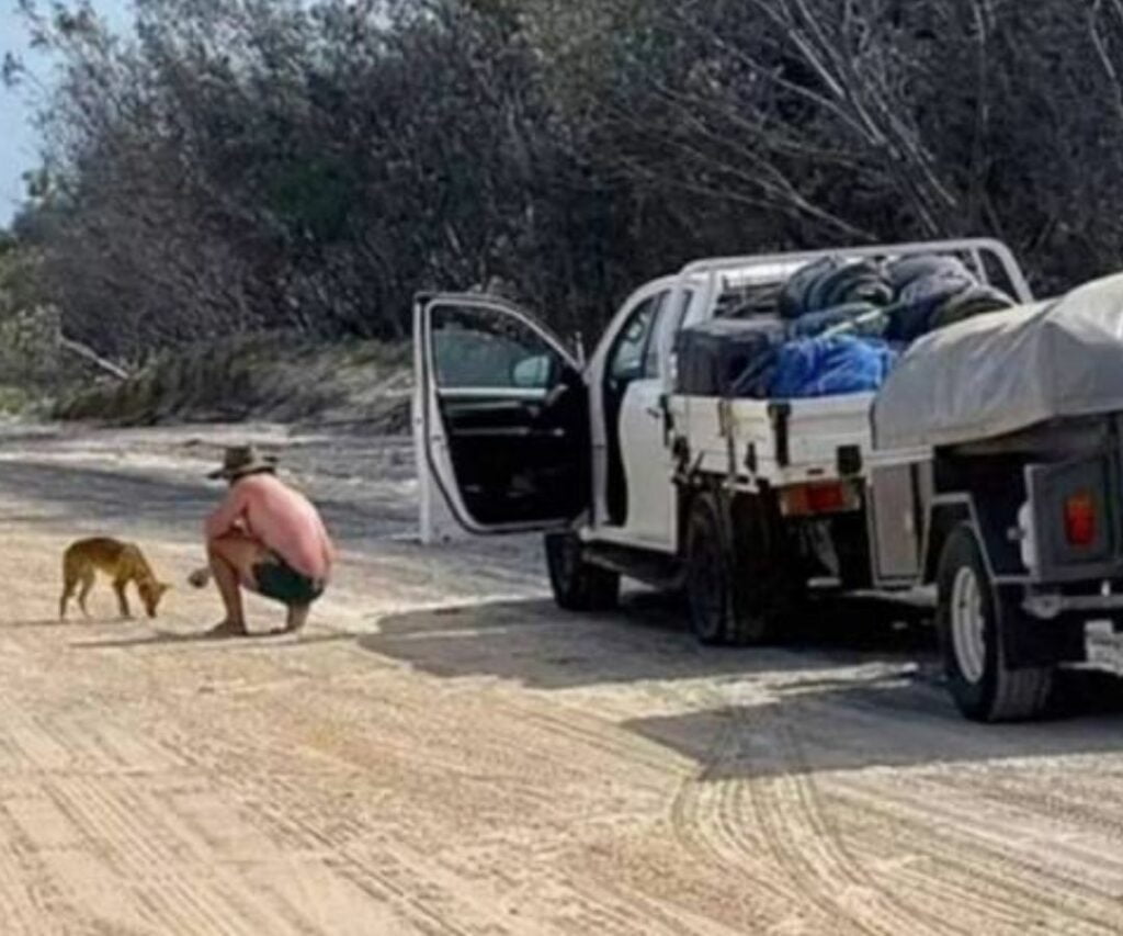 Gara-gara Beri Makan Anjing Liar, Lelaki Ini Didenda Hampir 7 Ribu
