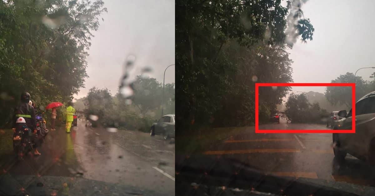 Kereta Dihempap Pokok Di Jalan Kidurong Akibat Hujan Lebat