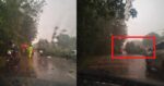 Kereta Dihempap Pokok Di Jalan Kidurong Akibat Hujan Lebat