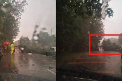 Kereta Dihempap Pokok Di Jalan Kidurong Akibat Hujan Lebat