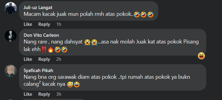 Hantar Makanan Ke Rumah Atas Pokok, Rider Terima Pesanan Di Sibu Ini Buat Netizen Geli Hati
