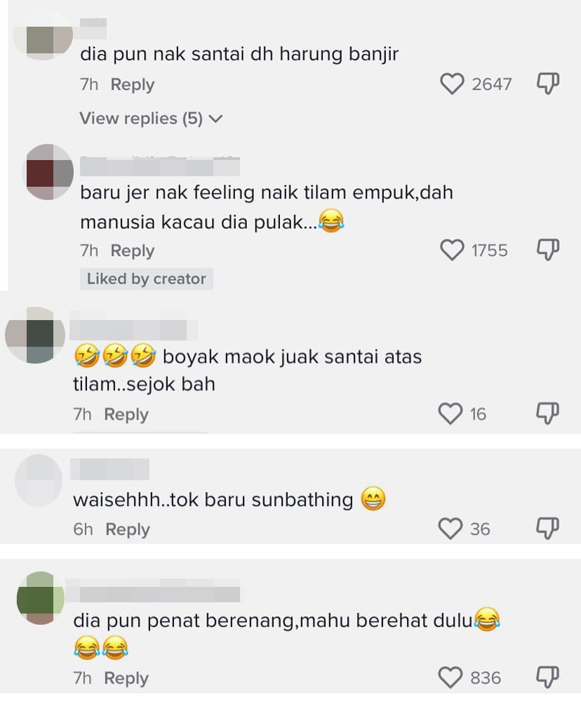 Santai Harungi Banjir Atas Tilam, Video Buaya Di Sarawak Ini Curi Perhatian Ramai