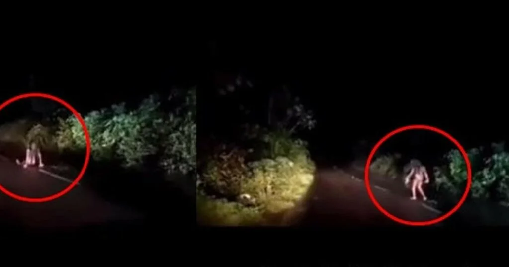 Lagenda Hantu Kayong Di Sarawak, Ketahui Mitos Sumpahan Hantu Bangkit Orang Boyan