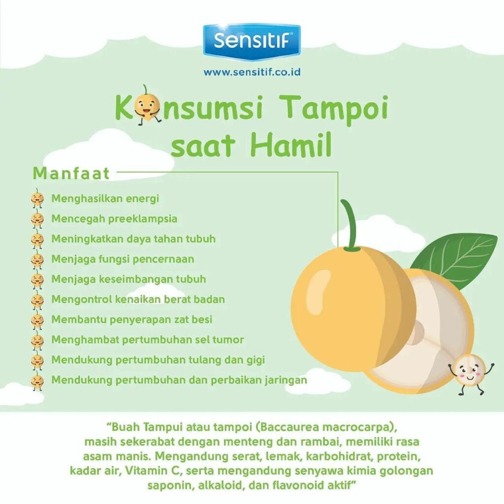 Kaya Dengan Nutrisi Dan Manfaat, Kenali Buah Tampoi Buah Hutan Pilihan Rakyat Sarawak