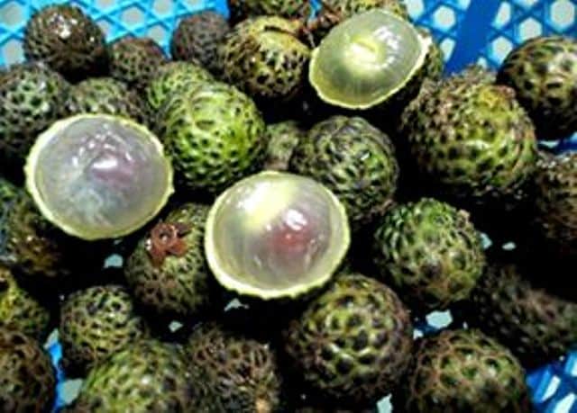 Persis Longan, Kenali Buah Isau Buah Tropikal Asli Daripada Sarawak
