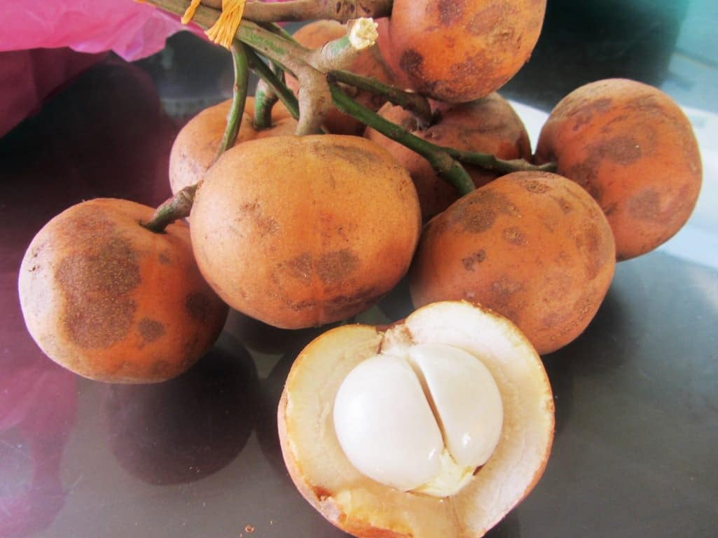 Kaya Dengan Nutrisi, Ketahui Buah Tampoi Buah Hutan Pilihan Rakyat Sarawak