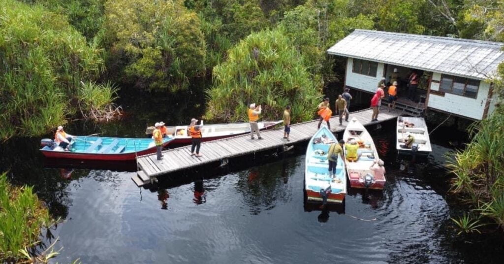 Taman Negara Maludam, Destinasi Wajib Dikunjungi Untuk Terokai Hutan Paya Gambut