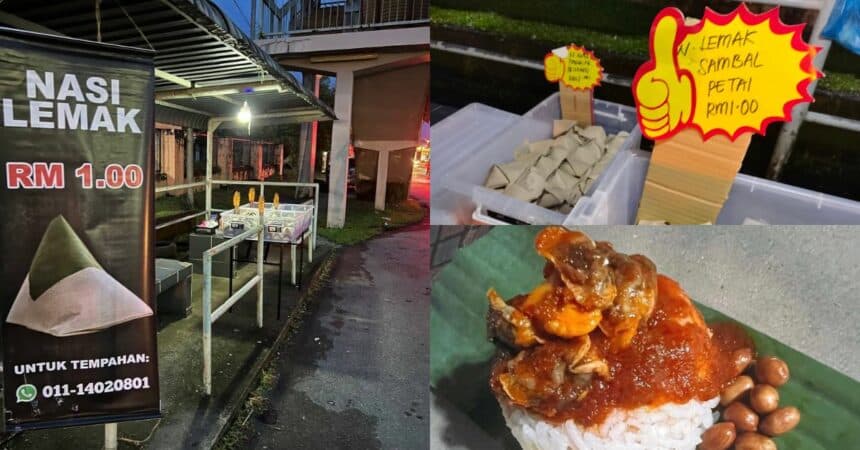 Hanya Seringgit Sebungkus, Warga Kuching Wajib Cuba Nasi Lemak Berlauk Di Jalan Astana Ini