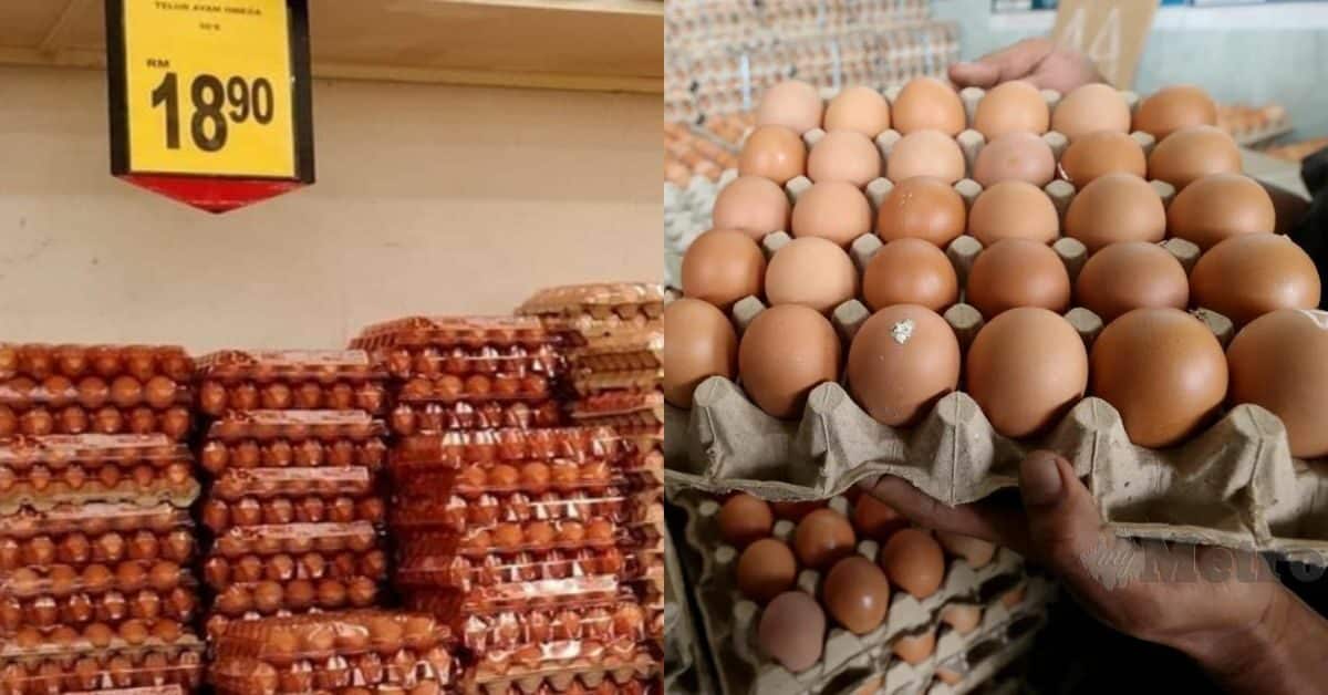 Bekalan Telur Kembali Pulih, Pembeli Pula 'Bidas' Harga Tidak Masuk Akal