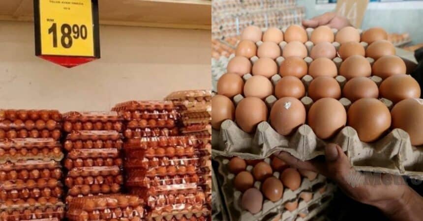 Bekalan Telur Kembali Pulih, Pembeli Pula 'Bidas' Harga Tidak Masuk Akal