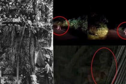 Lagenda Hantu Kayong Di Sarawak, Ketahui Mitos Sumpahan Hantu Bangkit Orang Boyan