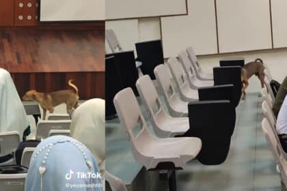 [VIDEO] 'Nak Jadi Lecturer Tu,' Anjing Merayau Masuk Dewan Kuliah Buat Netizen Terhibur