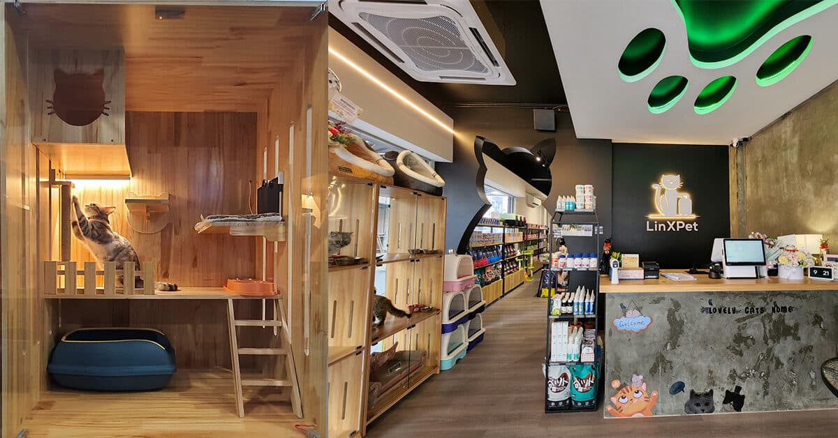 Linxpet Hotel Kuching, 'Hotel' Khas Untuk Kucing Anda Jika Anda Bercuti