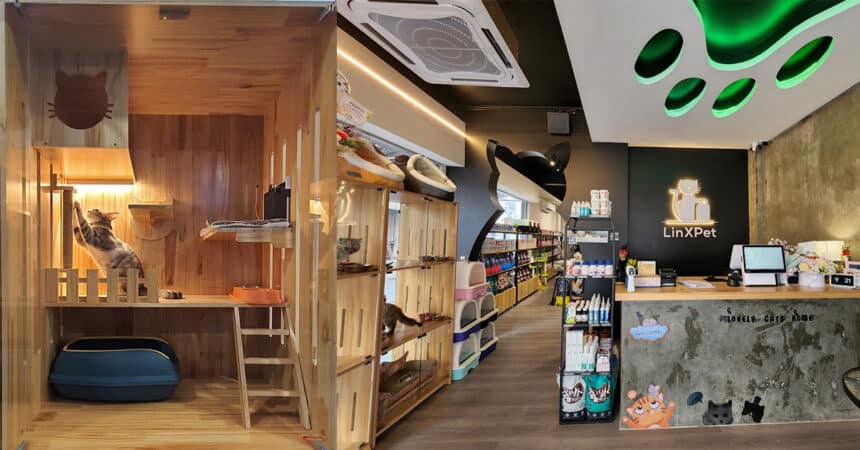 Linxpet Hotel Kuching, 'Hotel' Khas Untuk Kucing Anda Jika Anda Bercuti Luar