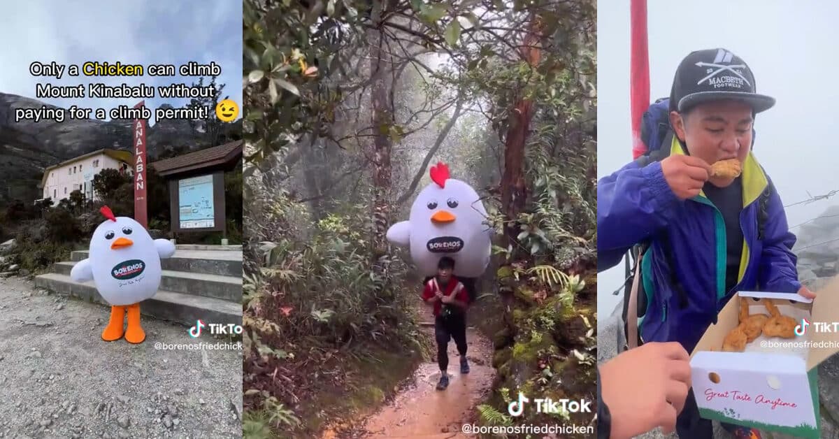 [VIDEO] Tawar Servis 'Delivery' Ke Puncak Gunung Kinabalu, Netizen Kagum Dengan Usaha Restoran Ini