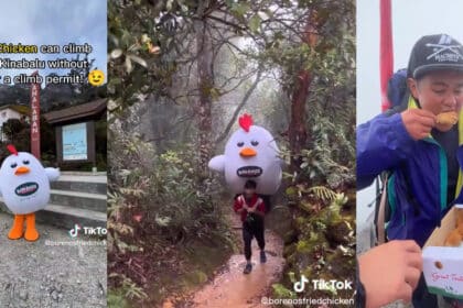 [VIDEO] Tawar Servis 'Delivery' Ke Puncak Gunung Kinabalu, Netizen Kagum Dengan Usaha Restoran Ini