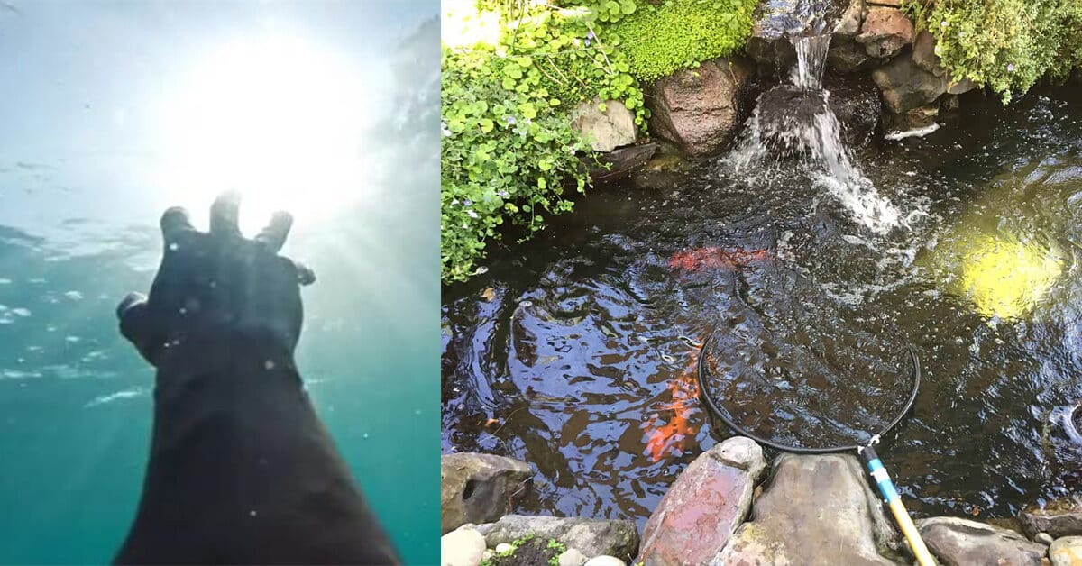 Gara-Gara Dihukum Berendam Dalam Kolam Ikan, Seorang Remaja Dari Indonesia Maut