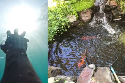 Gara-Gara Dihukum Berendam Dalam Kolam Ikan, Seorang Remaja Dari Indonesia Maut
