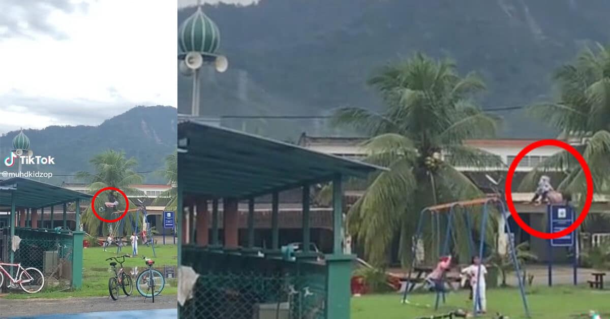 'Healing Bermain Dengan Nyawa', Aksi Budak Ini Hayun Buaian Tinggi Buat Netizen Rasa Risau