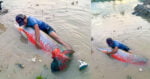 Antara Spesies Ikan Terbesar Di Dunia, Lelaki Ini Tangkap Ikan Arapaima Sebesar Badannya Di Puchong