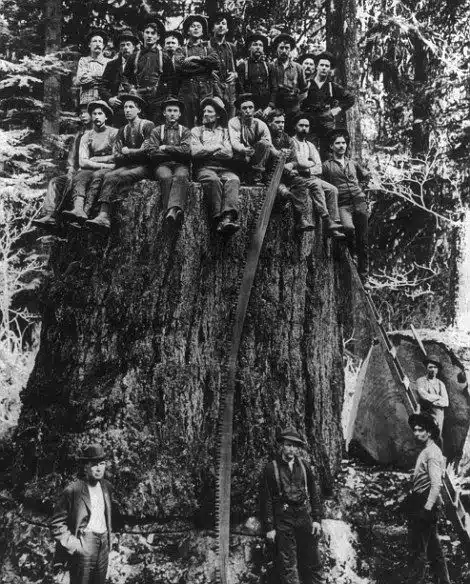 Lagenda Hantu Kayong Di Sarawak, Ketahui Mitos Sumpahan Hantu Bangkit Orang Boyan